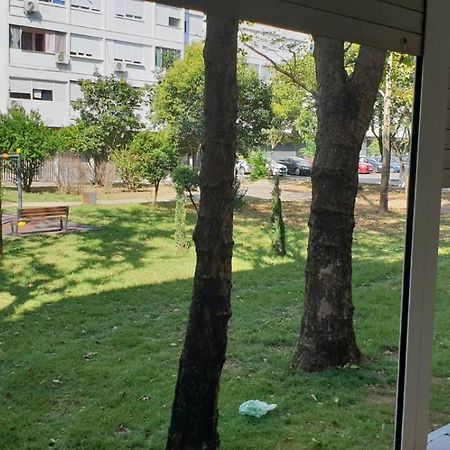 Yellow Apartment, Central بودغوريتْسا المظهر الخارجي الصورة